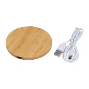 Inductive Charger Mons