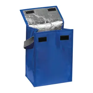 Cooling Bag San Juan