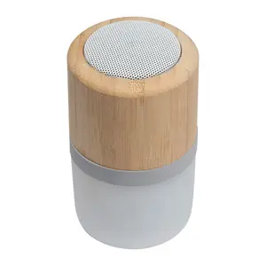Bluetooth speaker Haarlem