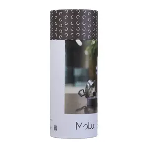 Stainless Steel Bottle Puente Alto 600 ml