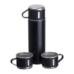 Insulated Bottle Set Iceland 